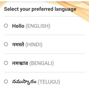 Choose language