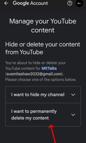 I want to permanently delete my channel. 